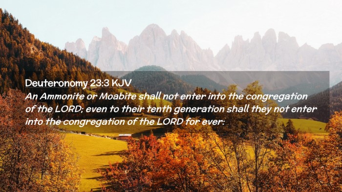 Picture 02 - Deuteronomy 23:3 KJV Desktop Wallpaper - An Ammonite or Moabite shall not enter into the - Desktop Bible Verse Wallpaper