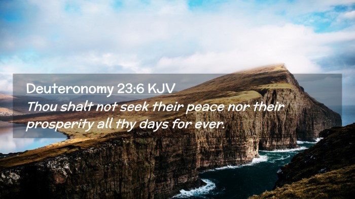 Picture 02 - Deuteronomy 23:6 KJV Desktop Wallpaper - Thou shalt not seek their peace nor their - Desktop Bible Verse Wallpaper