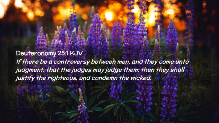 Picture 02 - Deuteronomy 25:1 KJV Desktop Wallpaper - If there be a controversy between men, and they - Desktop Bible Verse Wallpaper