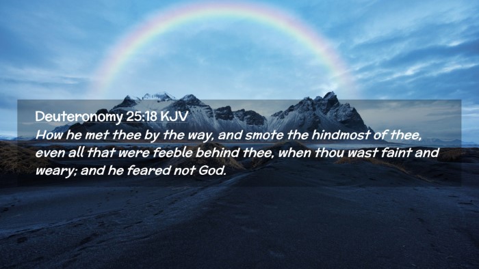 Picture 02 - Deuteronomy 25:18 KJV Desktop Wallpaper - How he met thee by the way, and smote the - Desktop Bible Verse Wallpaper