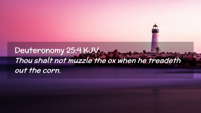 Picture 02 - Deuteronomy 25:4 KJV Desktop Wallpaper - Thou shalt not muzzle the ox when he treadeth out - Desktop Bible Verse Wallpaper
