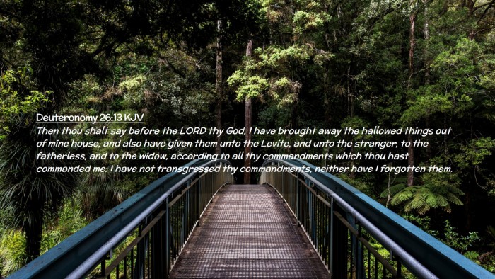 Picture 02 - Deuteronomy 26:13 KJV Desktop Wallpaper - Then thou shalt say before the LORD thy God, I - Desktop Bible Verse Wallpaper
