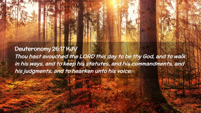Picture 02 - Deuteronomy 26:17 KJV Desktop Wallpaper - Thou hast avouched the LORD this day to be thy - Desktop Bible Verse Wallpaper