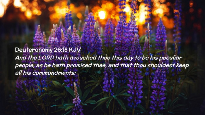 Picture 02 - Deuteronomy 26:18 KJV Desktop Wallpaper - And the LORD hath avouched thee this day to be - Desktop Bible Verse Wallpaper