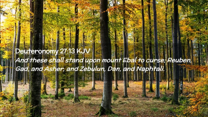 Picture 02 - Deuteronomy 27:13 KJV Desktop Wallpaper - And these shall stand upon mount Ebal to curse; - Desktop Bible Verse Wallpaper