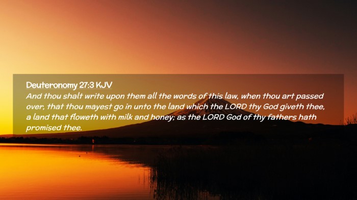 Picture 02 - Deuteronomy 27:3 KJV Desktop Wallpaper - And thou shalt write upon them all the words of - Desktop Bible Verse Wallpaper
