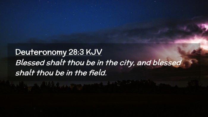 Picture 02 - Deuteronomy 28:3 KJV Desktop Wallpaper - Blessed shalt thou be in the city, and blessed - Desktop Bible Verse Wallpaper