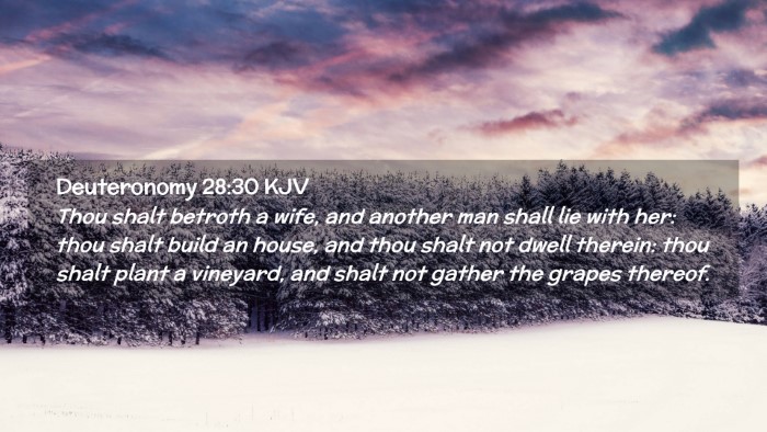 Picture 02 - Deuteronomy 28:30 KJV Desktop Wallpaper - Thou shalt betroth a wife, and another man shall - Desktop Bible Verse Wallpaper