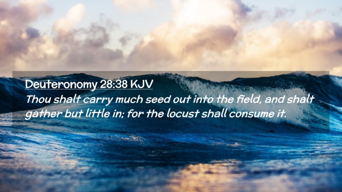 Picture 02 - Deuteronomy 28:38 KJV Desktop Wallpaper - Thou shalt carry much seed out into the field, - Desktop Bible Verse Wallpaper