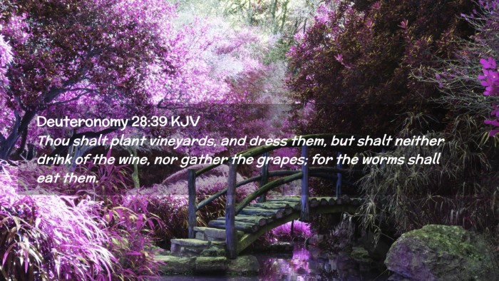 Picture 02 - Deuteronomy 28:39 KJV Desktop Wallpaper - Thou shalt plant vineyards, and dress them, but - Desktop Bible Verse Wallpaper