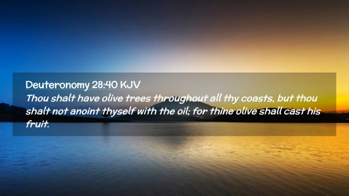 Picture 02 - Deuteronomy 28:40 KJV Desktop Wallpaper - Thou shalt have olive trees throughout all thy - Desktop Bible Verse Wallpaper