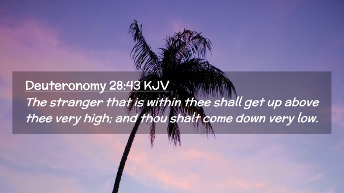 Picture 02 - Deuteronomy 28:43 KJV Desktop Wallpaper - The stranger that is within thee shall get up - Desktop Bible Verse Wallpaper
