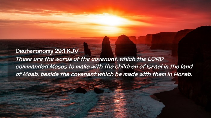 Picture 02 - Deuteronomy 29:1 KJV Desktop Wallpaper - These are the words of the covenant, which the - Desktop Bible Verse Wallpaper