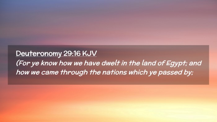 Picture 02 - Deuteronomy 29:16 KJV Desktop Wallpaper - (For ye know how we have dwelt in the land of - Desktop Bible Verse Wallpaper
