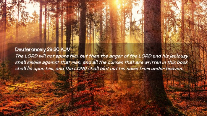 Picture 02 - Deuteronomy 29:20 KJV Desktop Wallpaper - The LORD will not spare him, but then the anger - Desktop Bible Verse Wallpaper