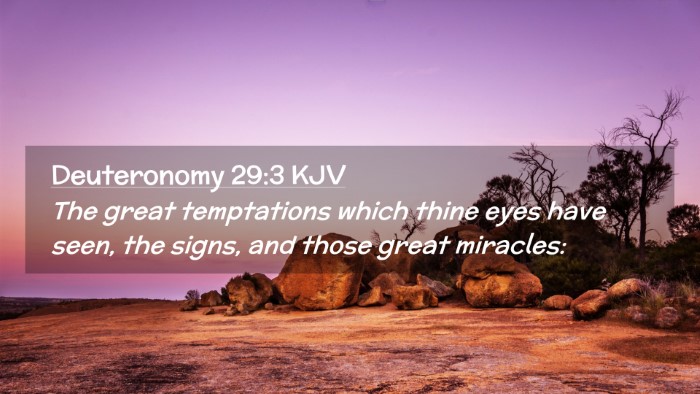 Picture 02 - Deuteronomy 29:3 KJV Desktop Wallpaper - The great temptations which thine eyes have seen, - Desktop Bible Verse Wallpaper