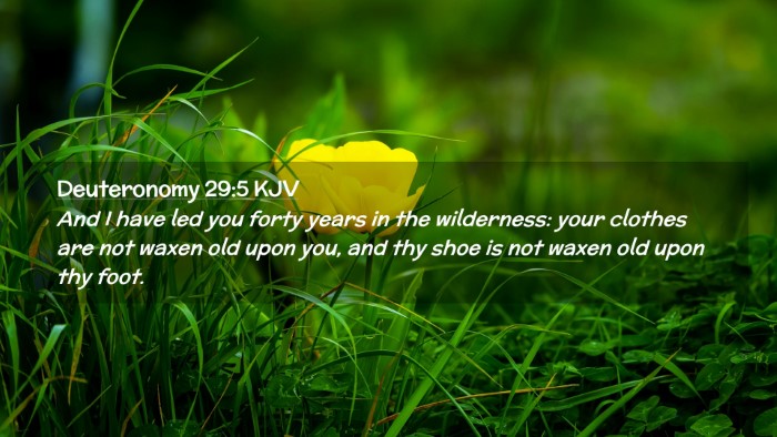 Picture 02 - Deuteronomy 29:5 KJV Desktop Wallpaper - And I have led you forty years in the wilderness: - Desktop Bible Verse Wallpaper