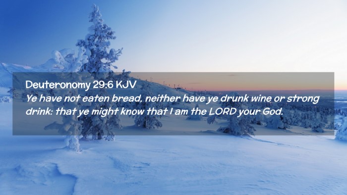 Picture 02 - Deuteronomy 29:6 KJV Desktop Wallpaper - Ye have not eaten bread, neither have ye drunk - Desktop Bible Verse Wallpaper