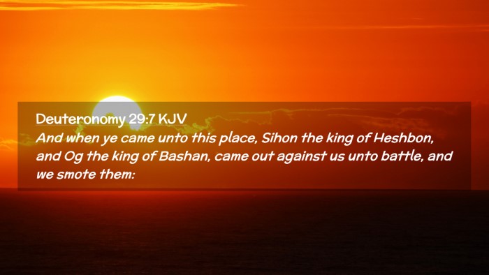 Picture 02 - Deuteronomy 29:7 KJV Desktop Wallpaper - And when ye came unto this place, Sihon the king - Desktop Bible Verse Wallpaper