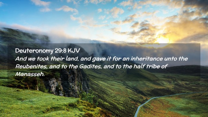 Picture 02 - Deuteronomy 29:8 KJV Desktop Wallpaper - And we took their land, and gave it for an - Desktop Bible Verse Wallpaper