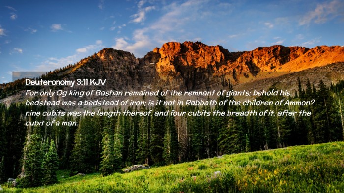 Picture 02 - Deuteronomy 3:11 KJV Desktop Wallpaper - For only Og king of Bashan remained of the - Desktop Bible Verse Wallpaper