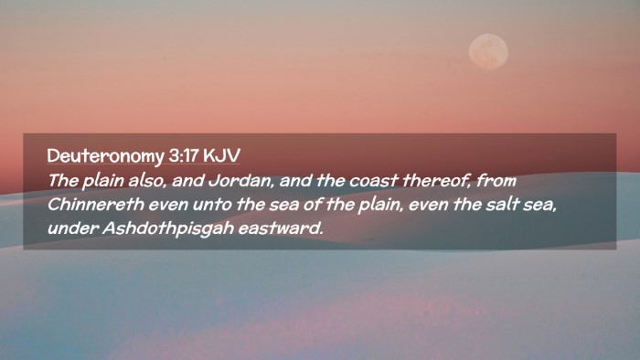 Picture 02 - Deuteronomy 3:17 KJV Desktop Wallpaper - The plain also, and Jordan, and the coast - Desktop Bible Verse Wallpaper