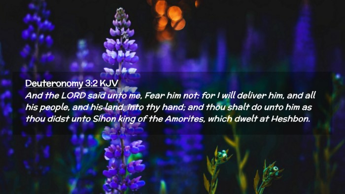 Picture 02 - Deuteronomy 3:2 KJV Desktop Wallpaper - And the LORD said unto me, Fear him not: for I - Desktop Bible Verse Wallpaper