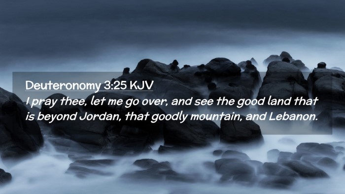 Picture 02 - Deuteronomy 3:25 KJV Desktop Wallpaper - I pray thee, let me go over, and see the good - Desktop Bible Verse Wallpaper