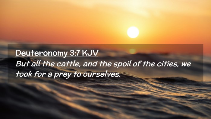 Picture 02 - Deuteronomy 3:7 KJV Desktop Wallpaper - But all the cattle, and the spoil of the cities, - Desktop Bible Verse Wallpaper