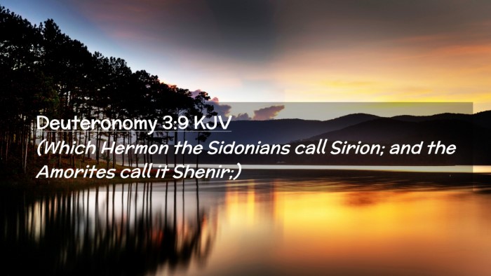Picture 02 - Deuteronomy 3:9 KJV Desktop Wallpaper - (Which Hermon the Sidonians call Sirion; and the - Desktop Bible Verse Wallpaper