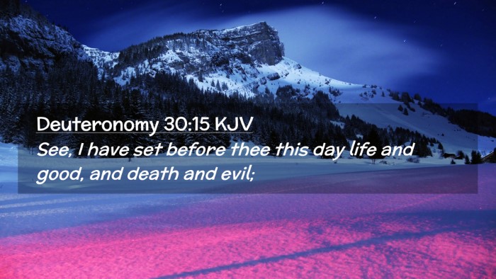 Picture 02 - Deuteronomy 30:15 KJV Desktop Wallpaper - See, I have set before thee this day life and - Desktop Bible Verse Wallpaper