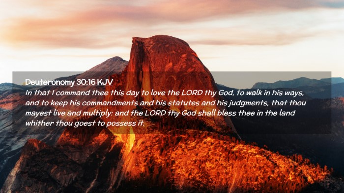 Picture 02 - Deuteronomy 30:16 KJV Desktop Wallpaper - In that I command thee this day to love the LORD - Desktop Bible Verse Wallpaper
