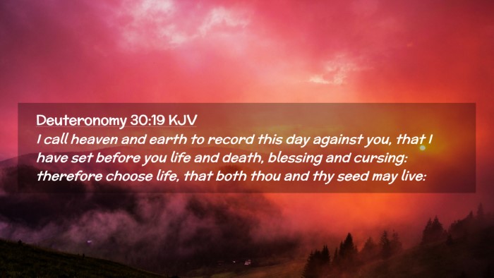 Picture 02 - Deuteronomy 30:19 KJV Desktop Wallpaper - I call heaven and earth to record this day - Desktop Bible Verse Wallpaper