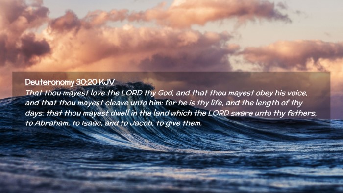 Picture 02 - Deuteronomy 30:20 KJV Desktop Wallpaper - That thou mayest love the LORD thy God, and that - Desktop Bible Verse Wallpaper
