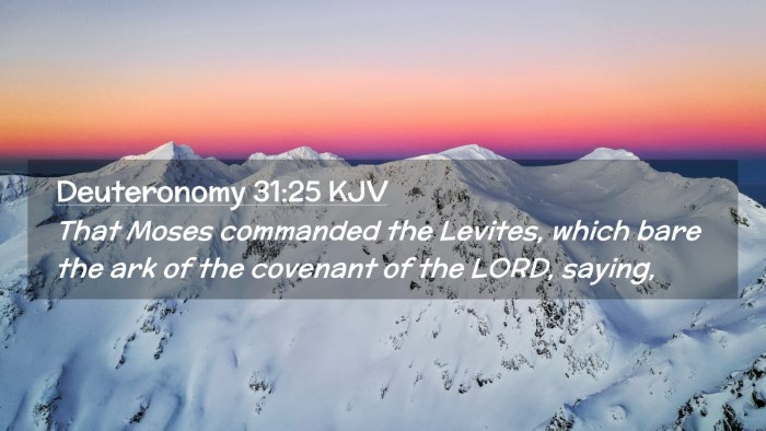 Picture 02 - Deuteronomy 31:25 KJV Desktop Wallpaper - That Moses commanded the Levites, which bare the - Desktop Bible Verse Wallpaper