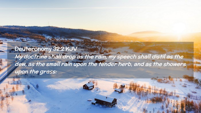 Picture 02 - Deuteronomy 32:2 KJV Desktop Wallpaper - My doctrine shall drop as the rain, my speech - Desktop Bible Verse Wallpaper