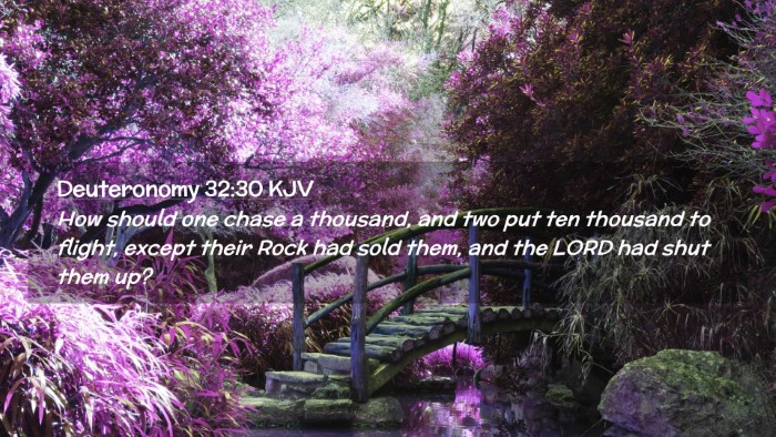 Picture 02 - Deuteronomy 32:30 KJV Desktop Wallpaper - How should one chase a thousand, and two put ten - Desktop Bible Verse Wallpaper