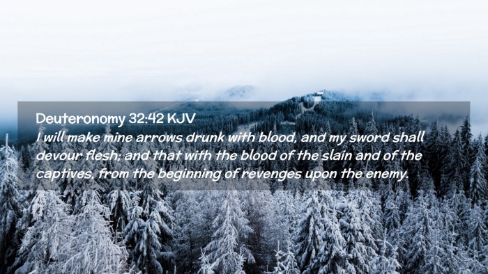 Picture 02 - Deuteronomy 32:42 KJV Desktop Wallpaper - I will make mine arrows drunk with blood, and my - Desktop Bible Verse Wallpaper