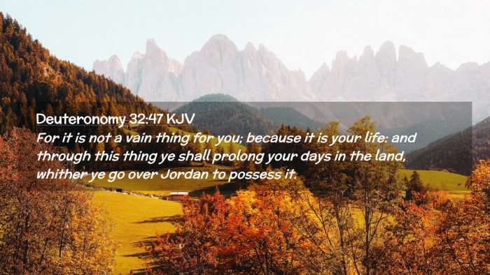 Picture 02 - Deuteronomy 32:47 KJV Desktop Wallpaper - For it is not a vain thing for you; because it is - Desktop Bible Verse Wallpaper