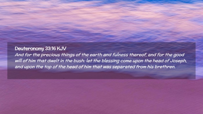 Picture 02 - Deuteronomy 33:16 KJV Desktop Wallpaper - And for the precious things of the earth and - Desktop Bible Verse Wallpaper