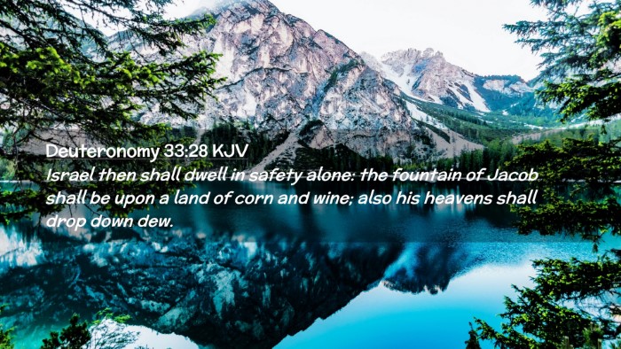 Picture 02 - Deuteronomy 33:28 KJV Desktop Wallpaper - Israel then shall dwell in safety alone: the - Desktop Bible Verse Wallpaper