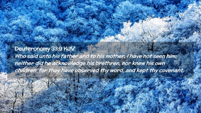 Picture 02 - Deuteronomy 33:9 KJV Desktop Wallpaper - Who said unto his father and to his mother, I - Desktop Bible Verse Wallpaper