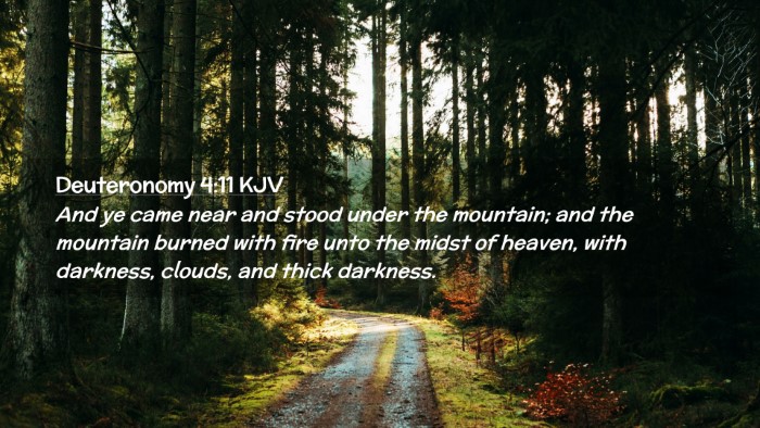 Picture 02 - Deuteronomy 4:11 KJV Desktop Wallpaper - And ye came near and stood under the mountain; - Desktop Bible Verse Wallpaper