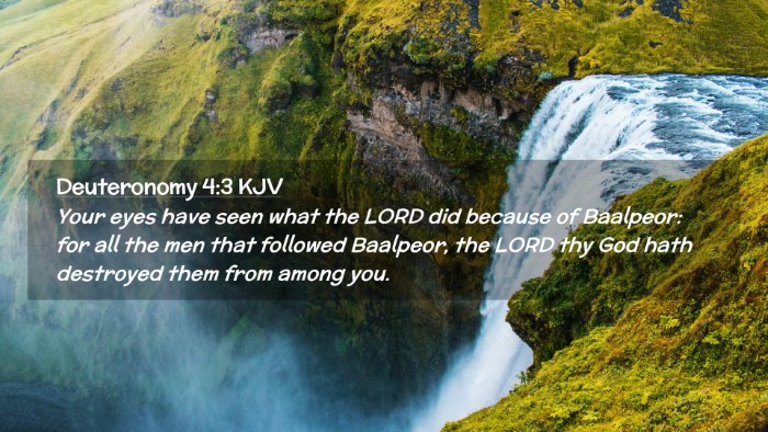 Picture 02 - Deuteronomy 4:3 KJV Desktop Wallpaper - Your eyes have seen what the LORD did because of - Desktop Bible Verse Wallpaper