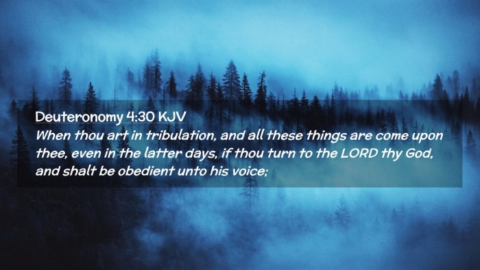 Picture 02 - Deuteronomy 4:30 KJV Desktop Wallpaper - When thou art in tribulation, and all these - Desktop Bible Verse Wallpaper
