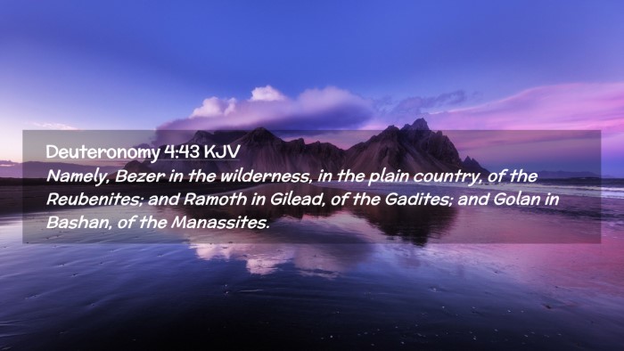 Picture 02 - Deuteronomy 4:43 KJV Desktop Wallpaper - Namely, Bezer in the wilderness, in the plain - Desktop Bible Verse Wallpaper