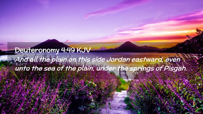 Picture 02 - Deuteronomy 4:49 KJV Desktop Wallpaper - And all the plain on this side Jordan eastward, - Desktop Bible Verse Wallpaper