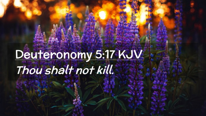 Picture 02 - Deuteronomy 5:17 KJV Desktop Wallpaper - Thou shalt not - Desktop Bible Verse Wallpaper