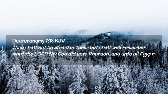 Picture 02 - Deuteronomy 7:18 KJV Desktop Wallpaper - Thou shalt not be afraid of them: but shalt well - Desktop Bible Verse Wallpaper