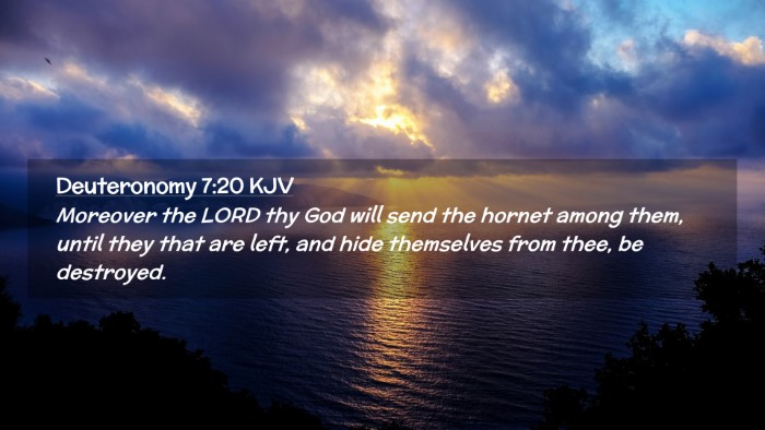 Picture 02 - Deuteronomy 7:20 KJV Desktop Wallpaper - Moreover the LORD thy God will send the hornet - Desktop Bible Verse Wallpaper